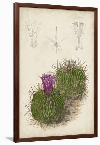 Antique Cactus II-Curtis-Framed Art Print