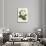 Antique Camellia IV-Van Houtte-Stretched Canvas displayed on a wall