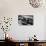 Antique Car With Whitewall Tires B/W-null-Photo displayed on a wall