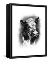 Antique Cattle I-null-Framed Stretched Canvas