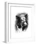 Antique Cattle I-null-Framed Art Print