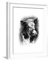 Antique Cattle I-null-Framed Art Print