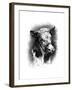 Antique Cattle I-null-Framed Art Print