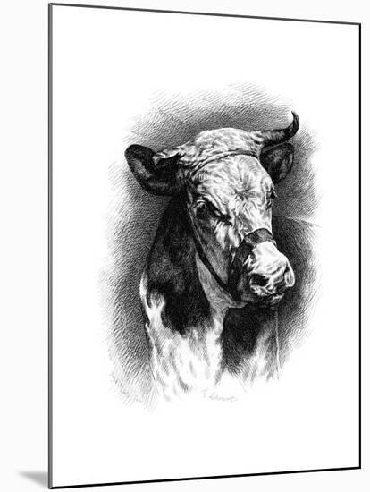 Antique Cattle I-null-Mounted Art Print