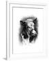 Antique Cattle I-null-Framed Art Print