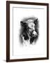 Antique Cattle I-null-Framed Art Print