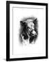 Antique Cattle I-null-Framed Art Print