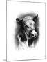 Antique Cattle I-null-Mounted Art Print