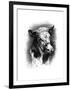 Antique Cattle I-null-Framed Art Print