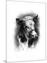 Antique Cattle I-null-Mounted Art Print