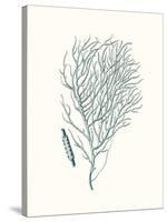 Antique Coastal Coral I-Johann Esper-Stretched Canvas