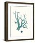 Antique Coastal Coral IX-Johann Esper-Framed Art Print
