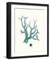 Antique Coastal Coral IX-Johann Esper-Framed Art Print