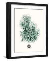 Antique Coastal Coral V-Johann Esper-Framed Art Print