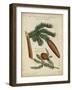 Antique Conifers III-Henry Fletcher-Framed Art Print