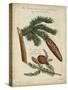 Antique Conifers III-Henry Fletcher-Stretched Canvas