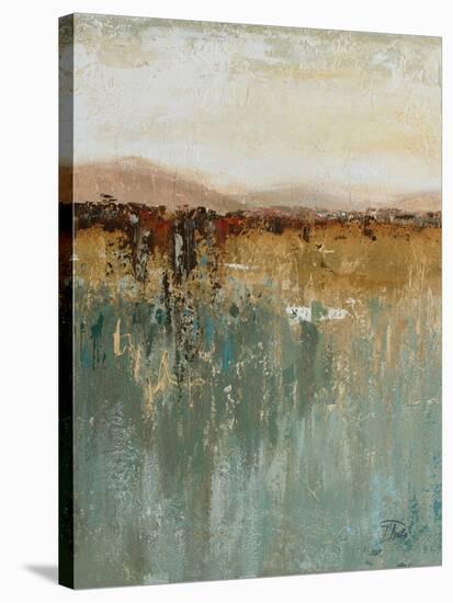 Antique Contemporary I-Patricia Pinto-Stretched Canvas