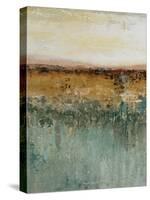 Antique Contemporary III-Patricia Pinto-Stretched Canvas