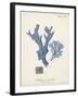 Antique Coral in Navy I-Johann Esper-Framed Art Print