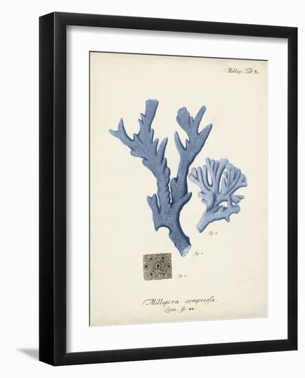 Antique Coral in Navy I-Johann Esper-Framed Art Print