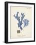 Antique Coral in Navy I-Johann Esper-Framed Art Print