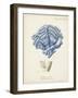 Antique Coral in Navy II-Johann Esper-Framed Art Print