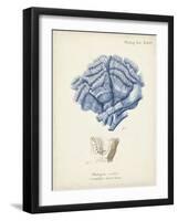 Antique Coral in Navy II-Johann Esper-Framed Art Print