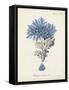 Antique Coral in Navy III-Johann Esper-Framed Stretched Canvas