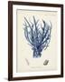 Antique Coral in Navy V-Johann Esper-Framed Art Print