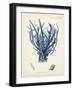 Antique Coral in Navy V-Johann Esper-Framed Art Print