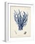 Antique Coral in Navy V-Johann Esper-Framed Art Print