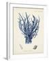 Antique Coral in Navy V-Johann Esper-Framed Art Print