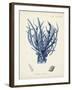 Antique Coral in Navy V-Johann Esper-Framed Art Print