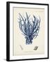 Antique Coral in Navy V-Johann Esper-Framed Art Print