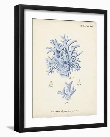 Antique Coral in Navy VI-Johann Esper-Framed Art Print