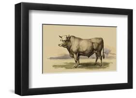 Antique Cow I-Julian Bien-Framed Art Print