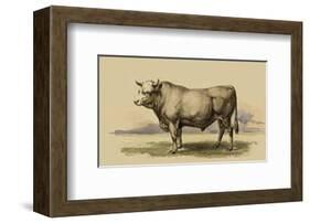 Antique Cow I-Julian Bien-Framed Art Print