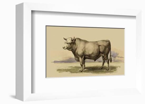 Antique Cow I-Julian Bien-Framed Art Print