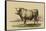 Antique Cow I-Julian Bien-Framed Stretched Canvas