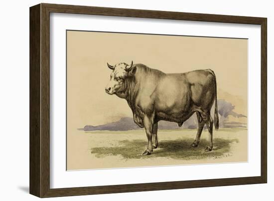 Antique Cow I-Julian Bien-Framed Art Print