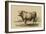 Antique Cow I-Julian Bien-Framed Art Print