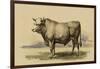 Antique Cow I-Julian Bien-Framed Art Print