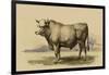 Antique Cow I-Julian Bien-Framed Art Print