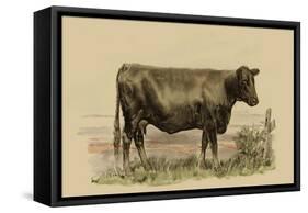Antique Cow II-Julian Bien-Framed Stretched Canvas