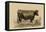 Antique Cow II-Julian Bien-Framed Stretched Canvas