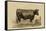 Antique Cow II-Julian Bien-Framed Stretched Canvas