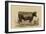 Antique Cow II-Julian Bien-Framed Art Print