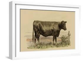 Antique Cow II-Julian Bien-Framed Art Print