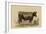 Antique Cow II-Julian Bien-Framed Art Print