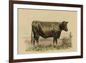 Antique Cow II-Julian Bien-Framed Premium Giclee Print